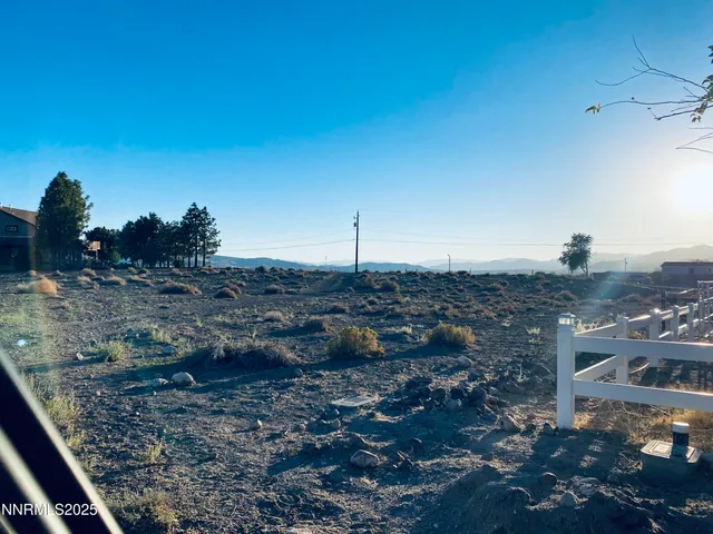 a view of a dry yard