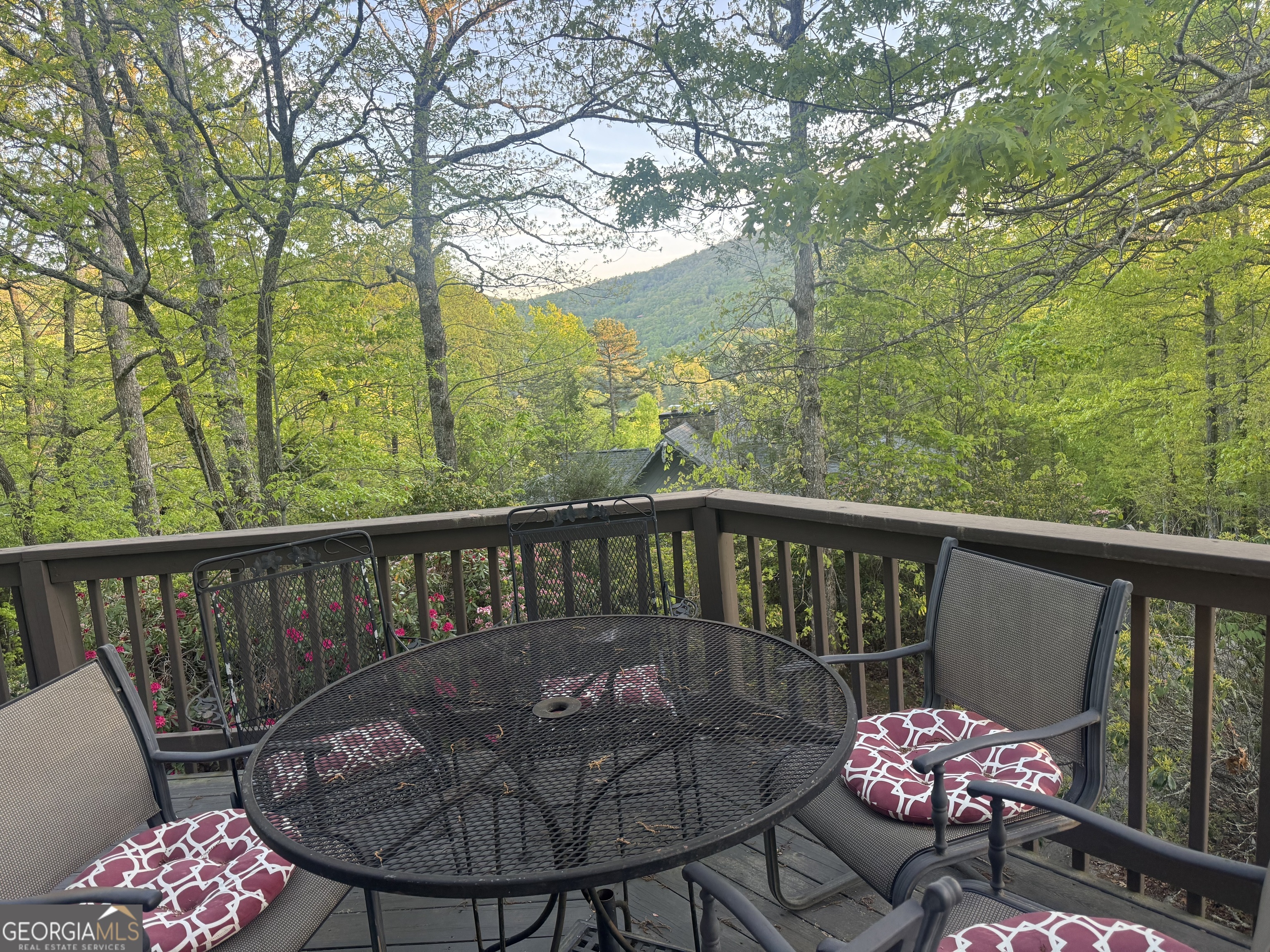 63 Mashie Lane Sky Valley, GA 30537 - Photo 2 of 22