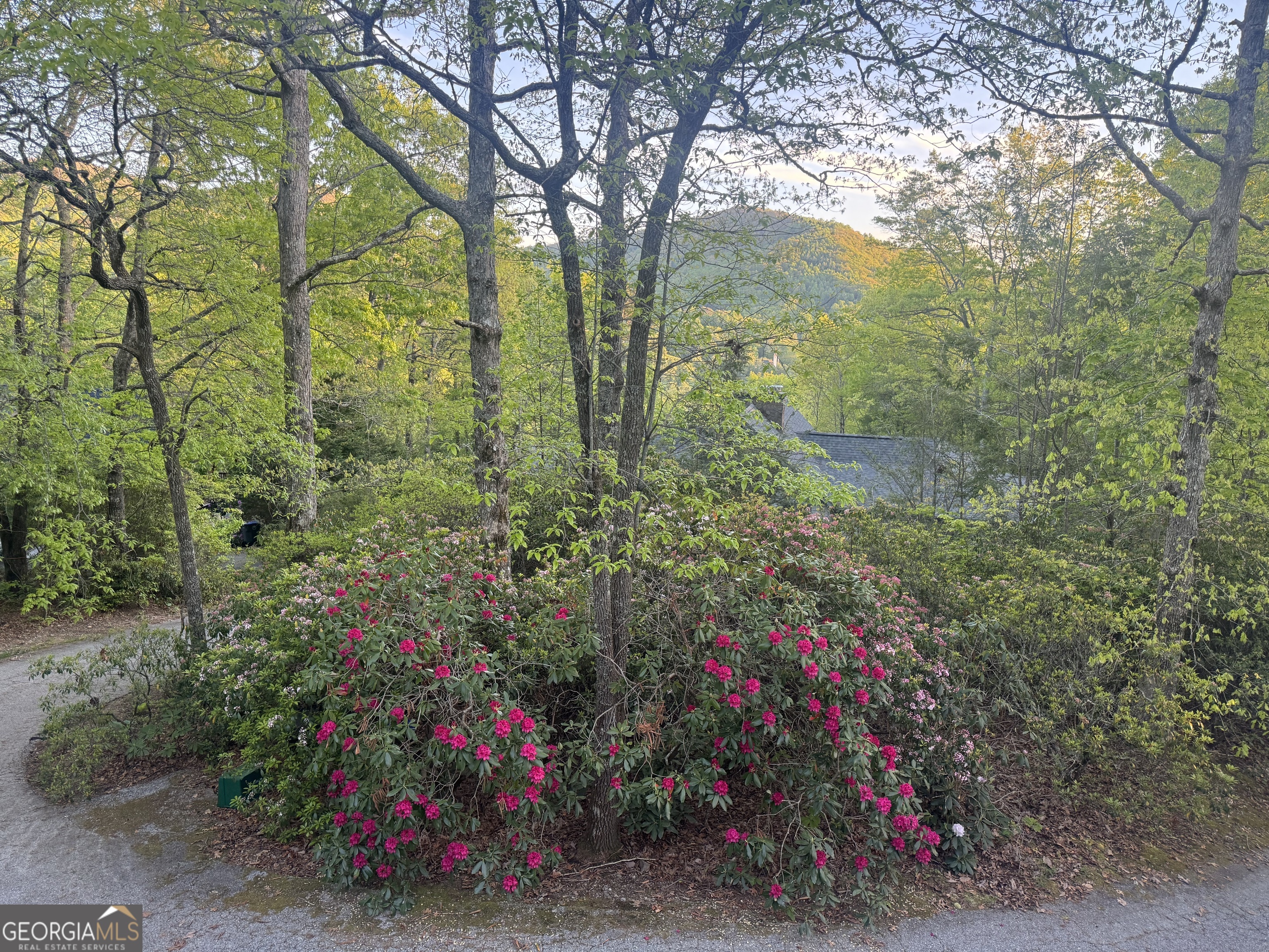 63 Mashie Lane Sky Valley, GA 30537 - Photo 3 of 22