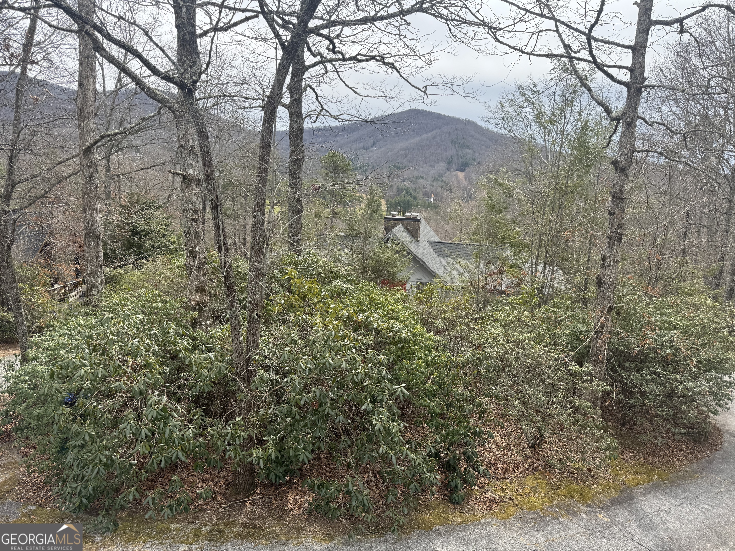 63 Mashie Lane Sky Valley, GA 30537 - Photo 4 of 22