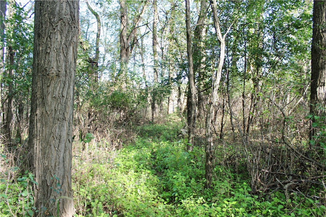 0 South Lowes Creek Road Eau Claire, WI 54701 - Photo 20 of 59