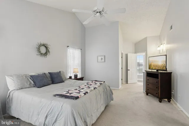 a view of park with bench and trees around