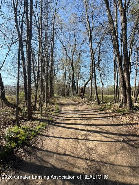 0 27 27 Mile Road Albion, MI 49224 - Photo 44 of 47 6