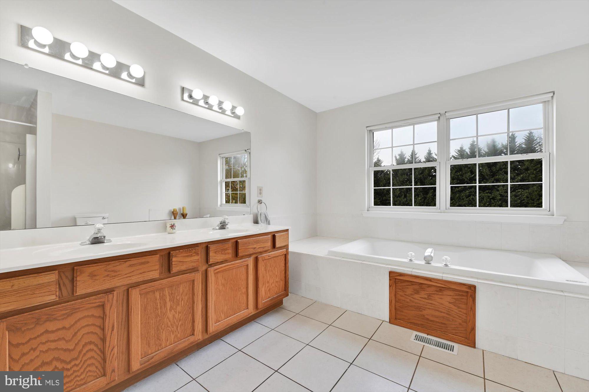255 Tomstock Road Eagleville, PA 19403 - Photo 25 of 54 Owners Suite Dual Vanity