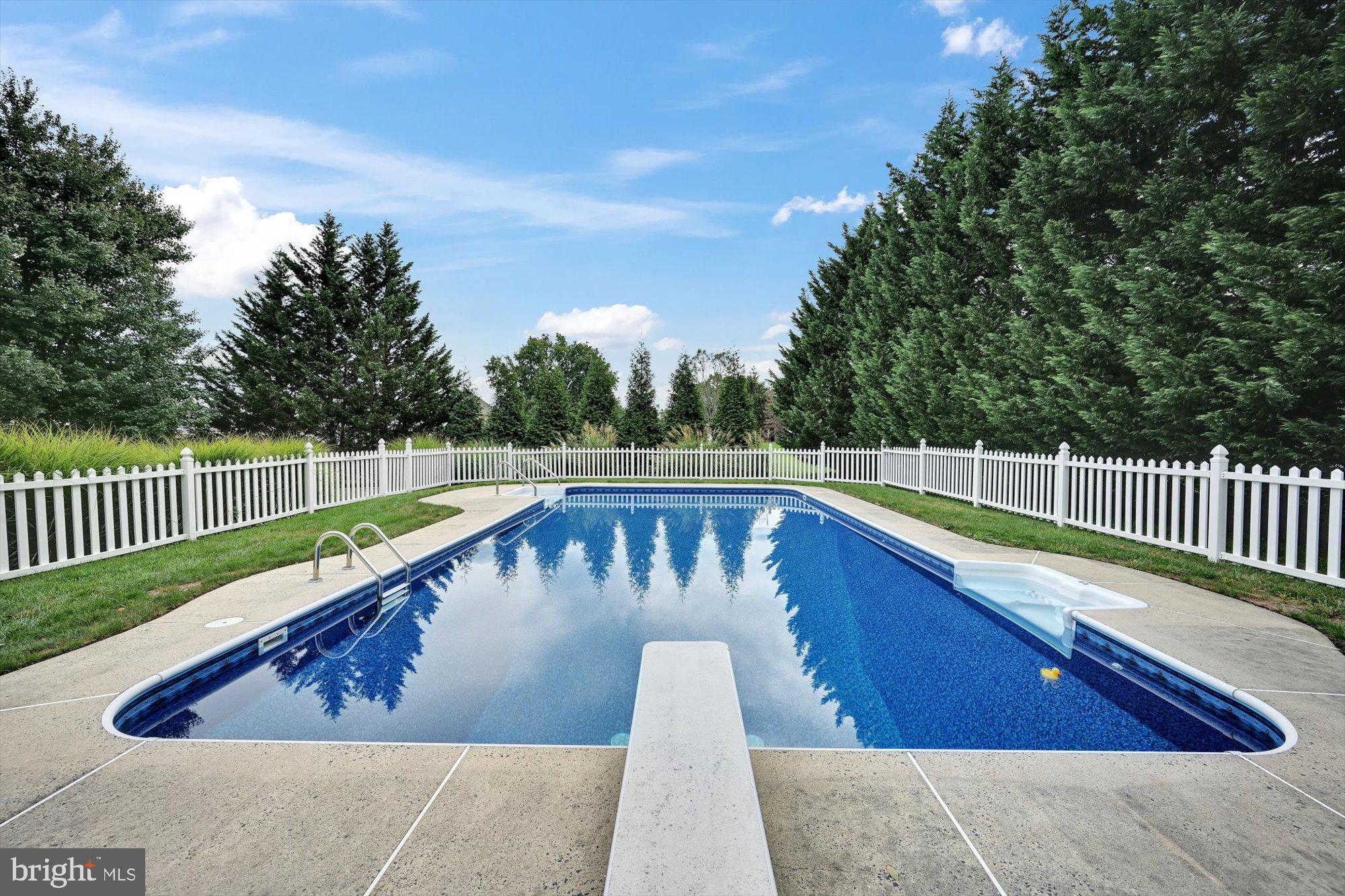 255 Tomstock Road Eagleville, PA 19403 - Photo 43 of 54 Diving Board