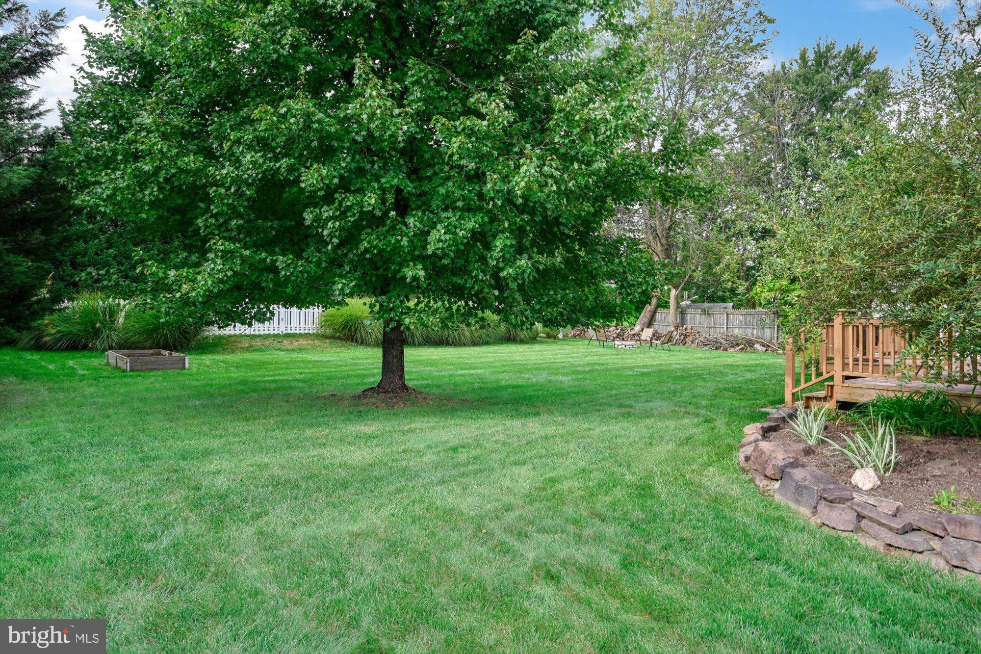 255 Tomstock Road Eagleville, PA 19403 - Photo 45 of 54 Mature Landscaping for Privacy