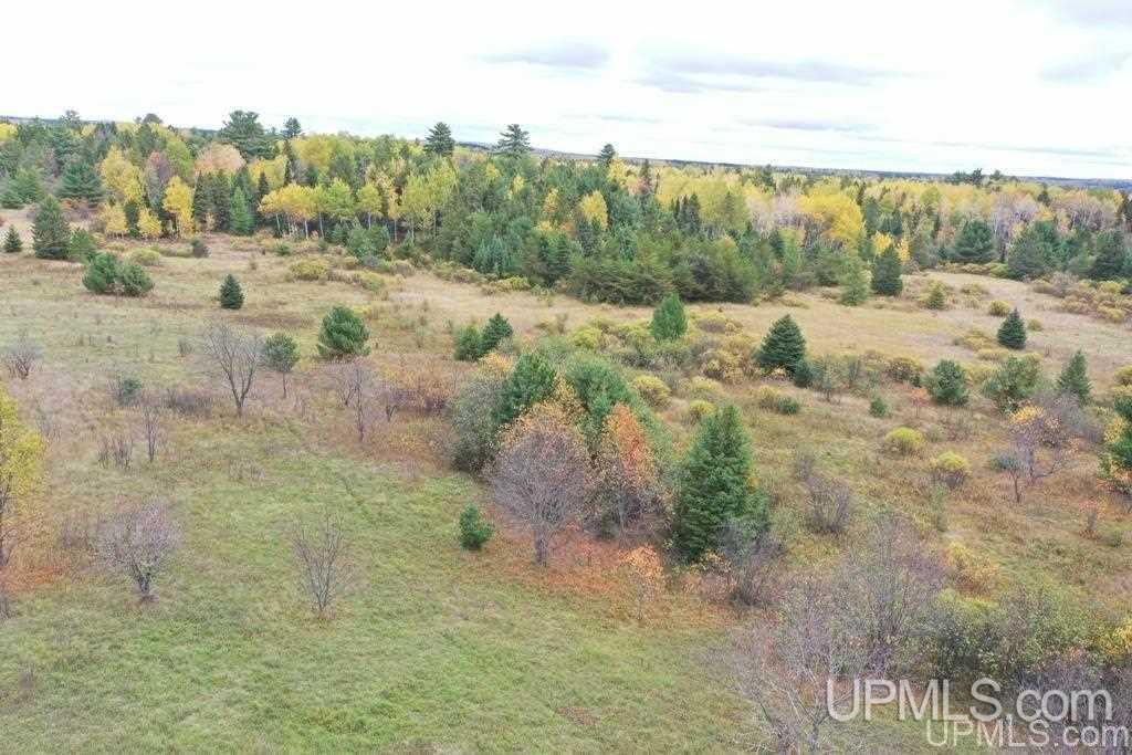 Tbd South County Line Road Watersmeet, MI 49969 - Photo 6 of 16