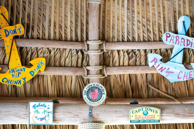 a view of a yard with plants