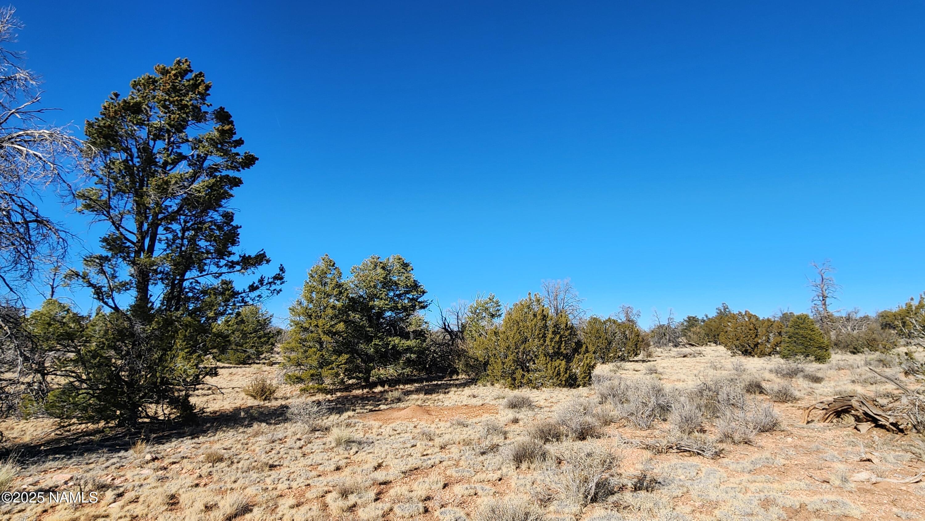 5373 Red Butte Road Williams, AZ 86046 - Photo 19 of 33 1000024088