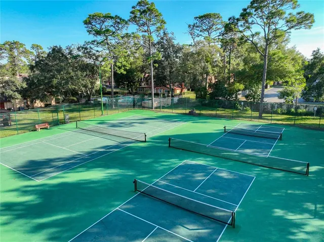 a lush green forest with lots of trees