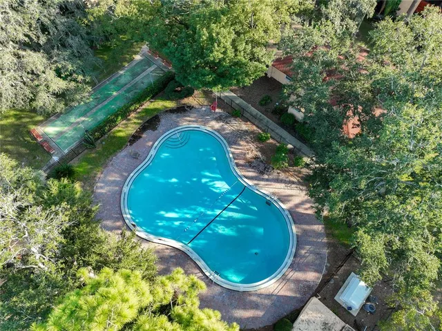 a view of a plant in a garden