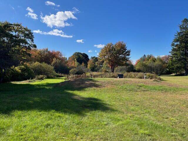 878 River Road Tenants Harbor, ME 04860 - Photo 20 of 24 Backyard