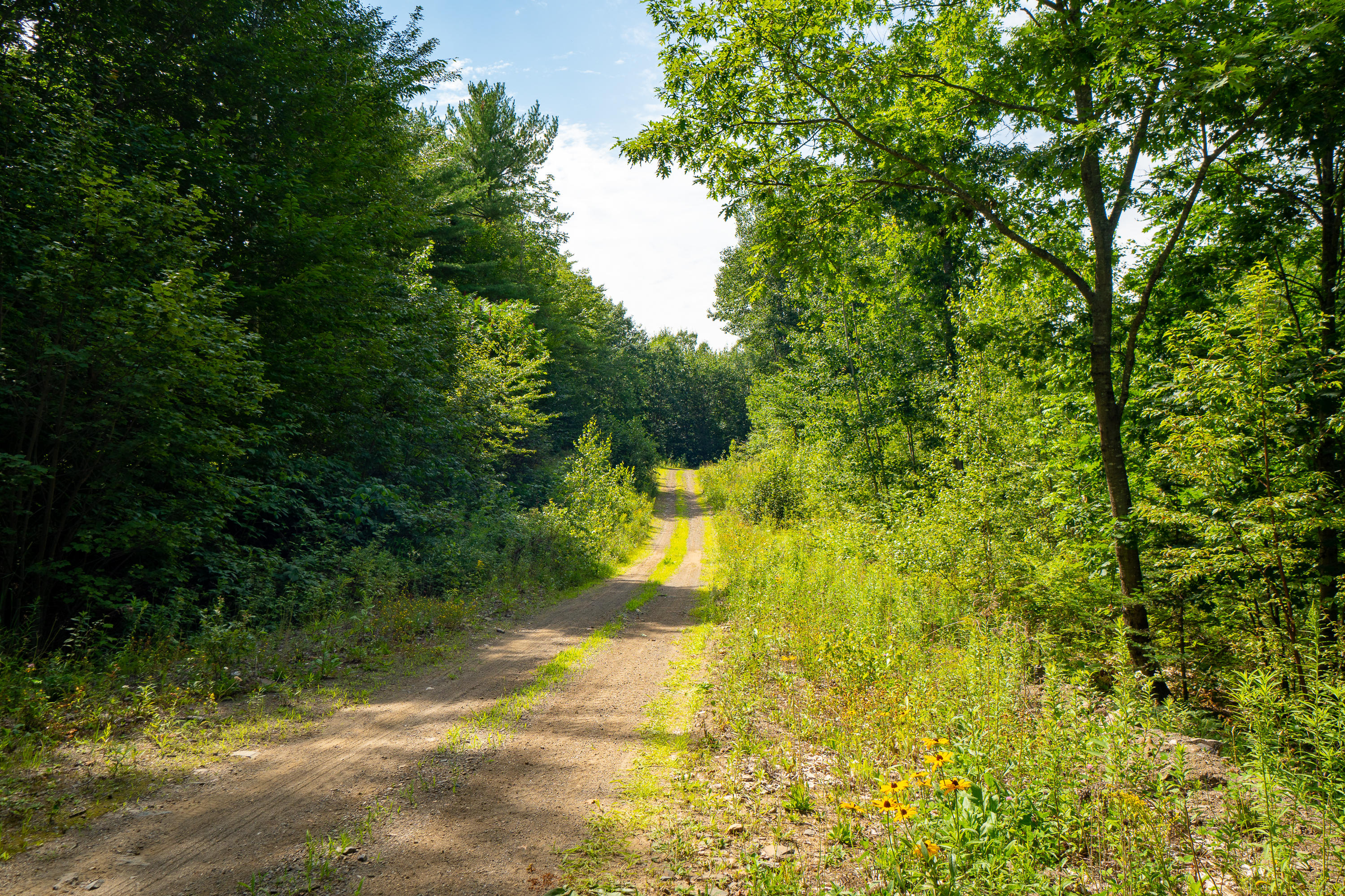 Map69-lot5 Dutton Road South China, ME 04358 - Photo 13 of 16 (30)_Land - China, ME(MAPS)