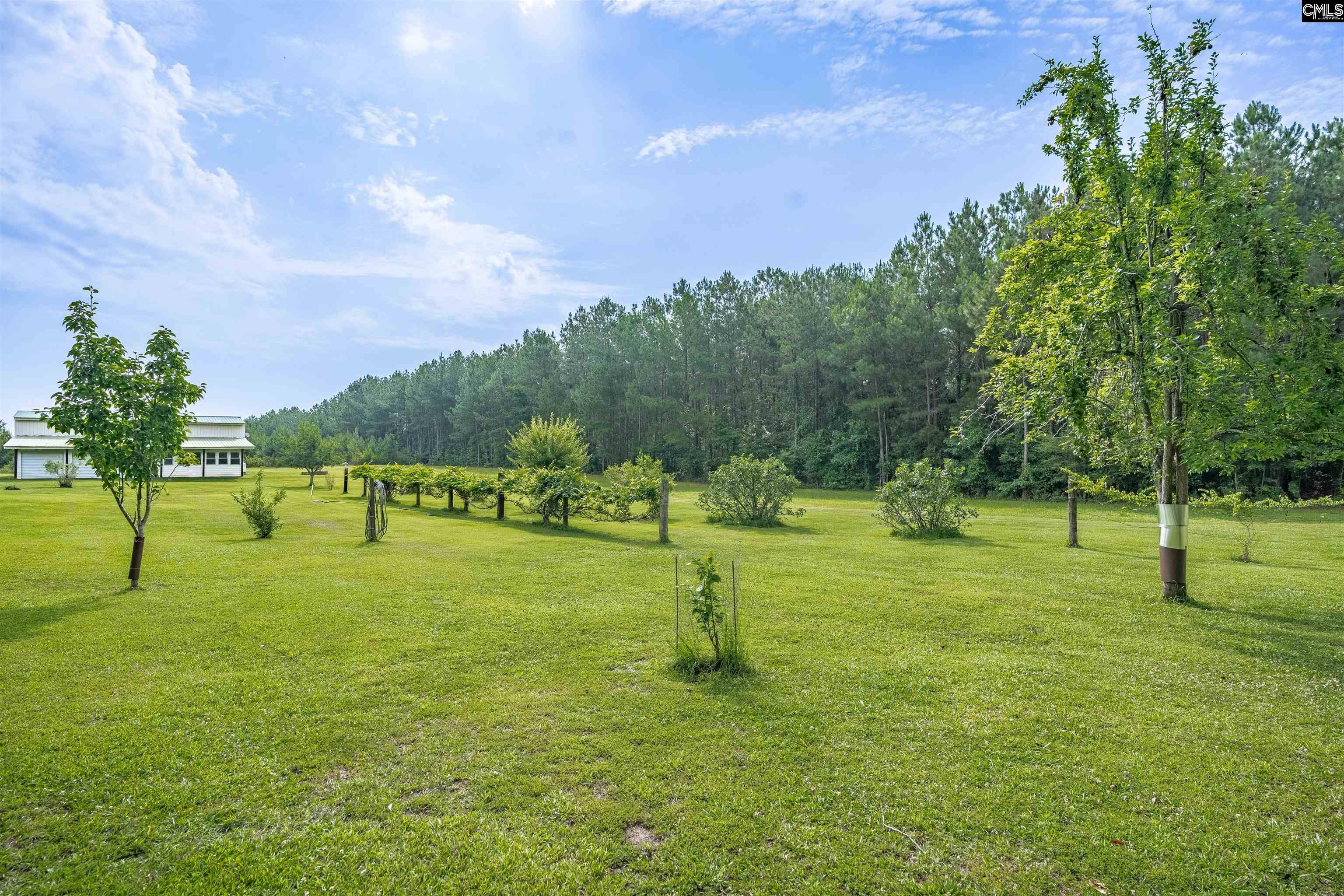 187 Peach Tree Street Ward, SC 29166 - Photo 24 of 35