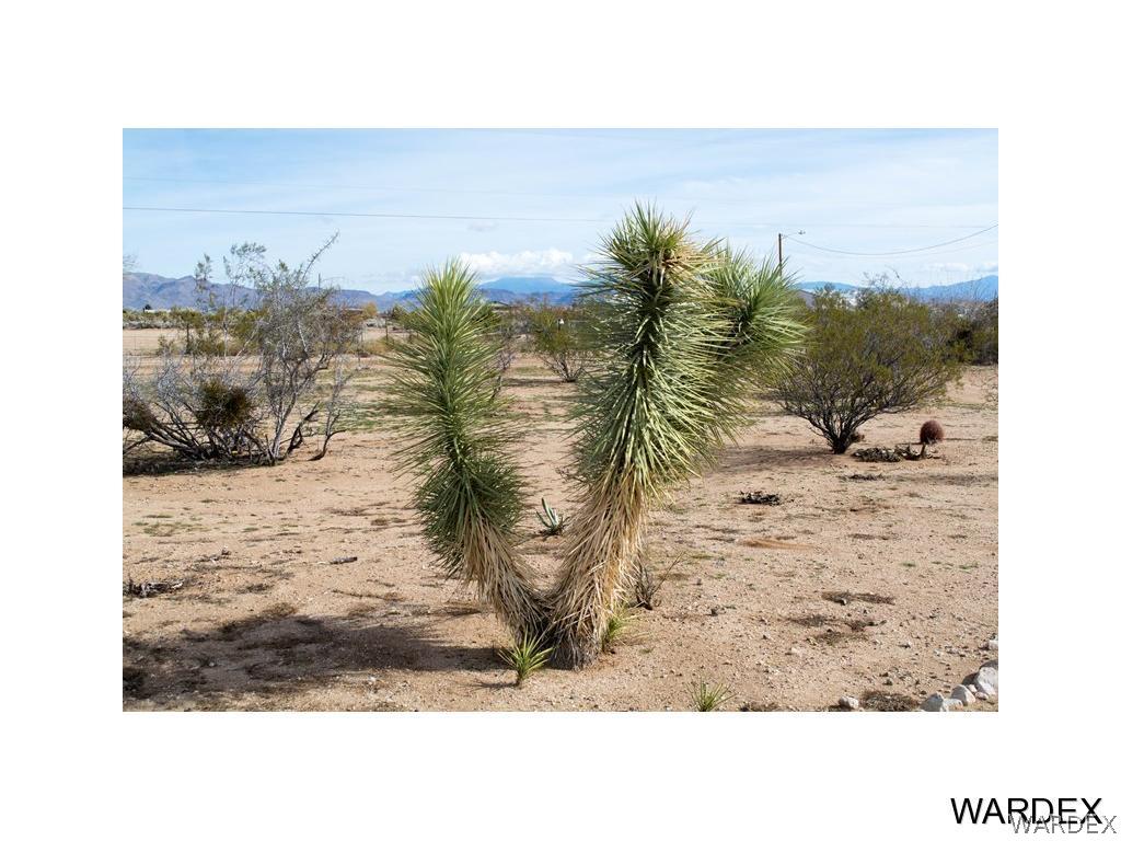 4117 Cove Road Golden Valley, AZ 86413 - Photo 25 of 32 a view of a backyard