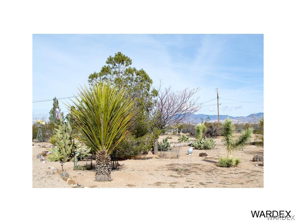 4117 Cove Road Golden Valley, AZ 86413 - Photo 26 of 32 a view of a backyard