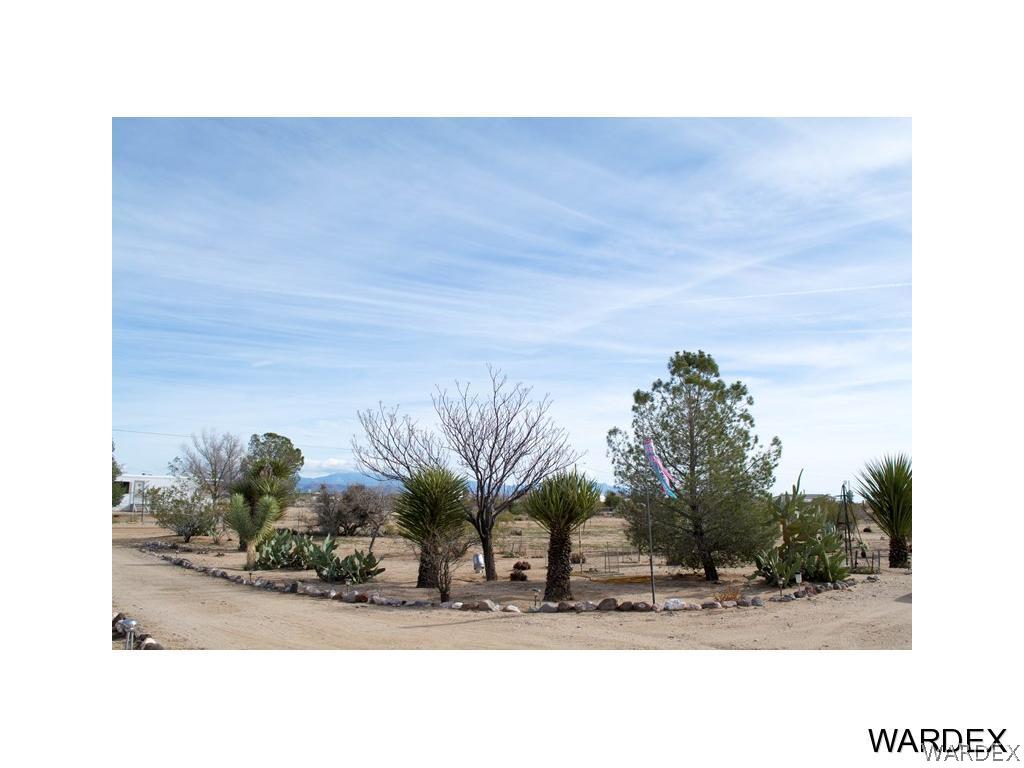 4117 Cove Road Golden Valley, AZ 86413 - Photo 28 of 32 a picture of a person on a street