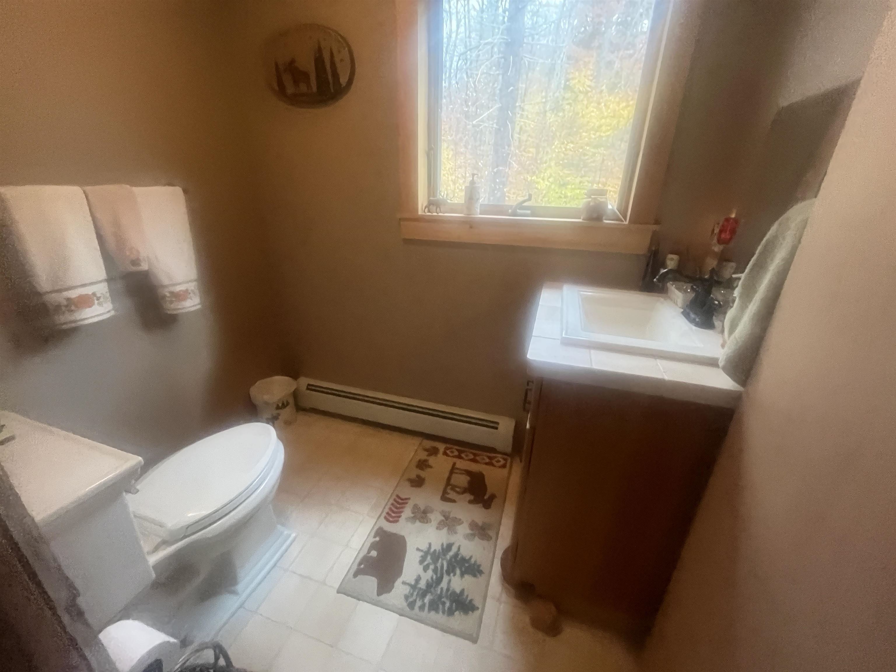 114 Cole Brook Road East Arlington, VT 05252 - Photo 19 of 34