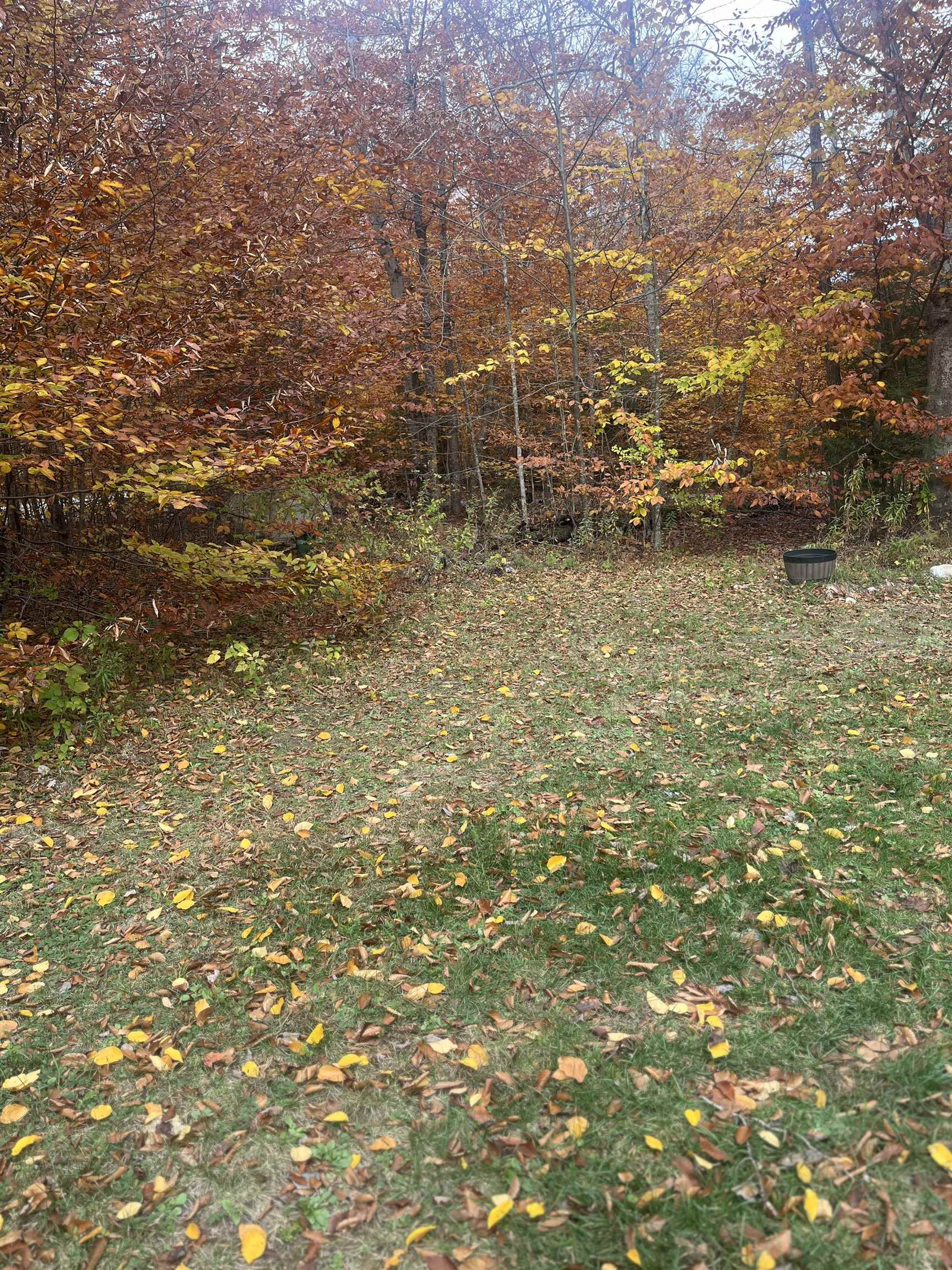 114 Cole Brook Road East Arlington, VT 05252 - Photo 20 of 34