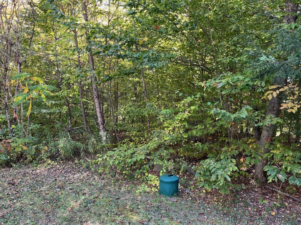 114 Cole Brook Road East Arlington, VT 05252 - Photo 10 of 34