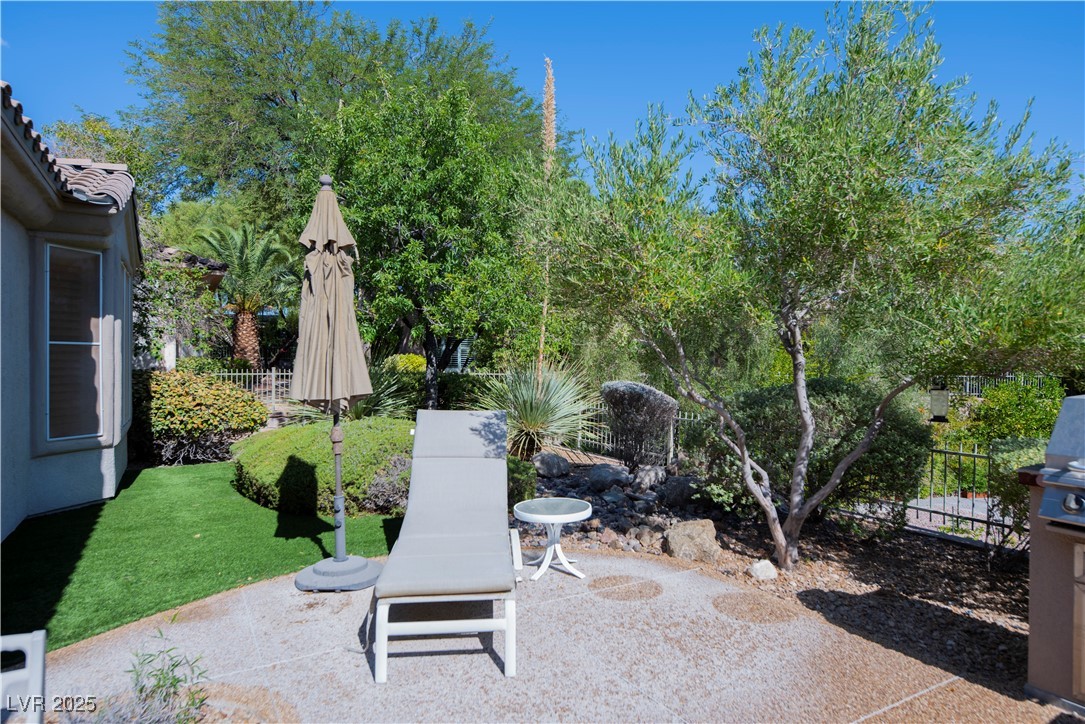 4390 Angelo Rosa Street Las Vegas, NV 89135 - Photo 26 of 27