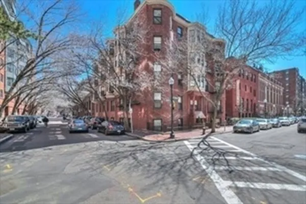 a street view with large trees