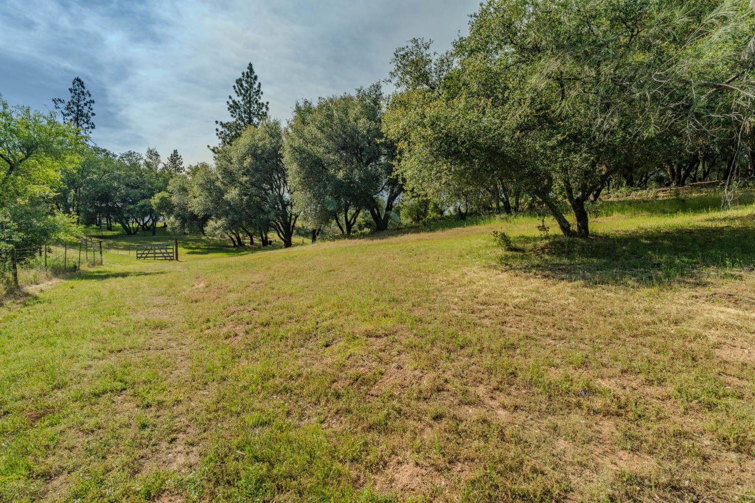6216 Trout Lane Mountain Ranch, CA 95246 - Photo 28 of 39 a view of a yard with a trees