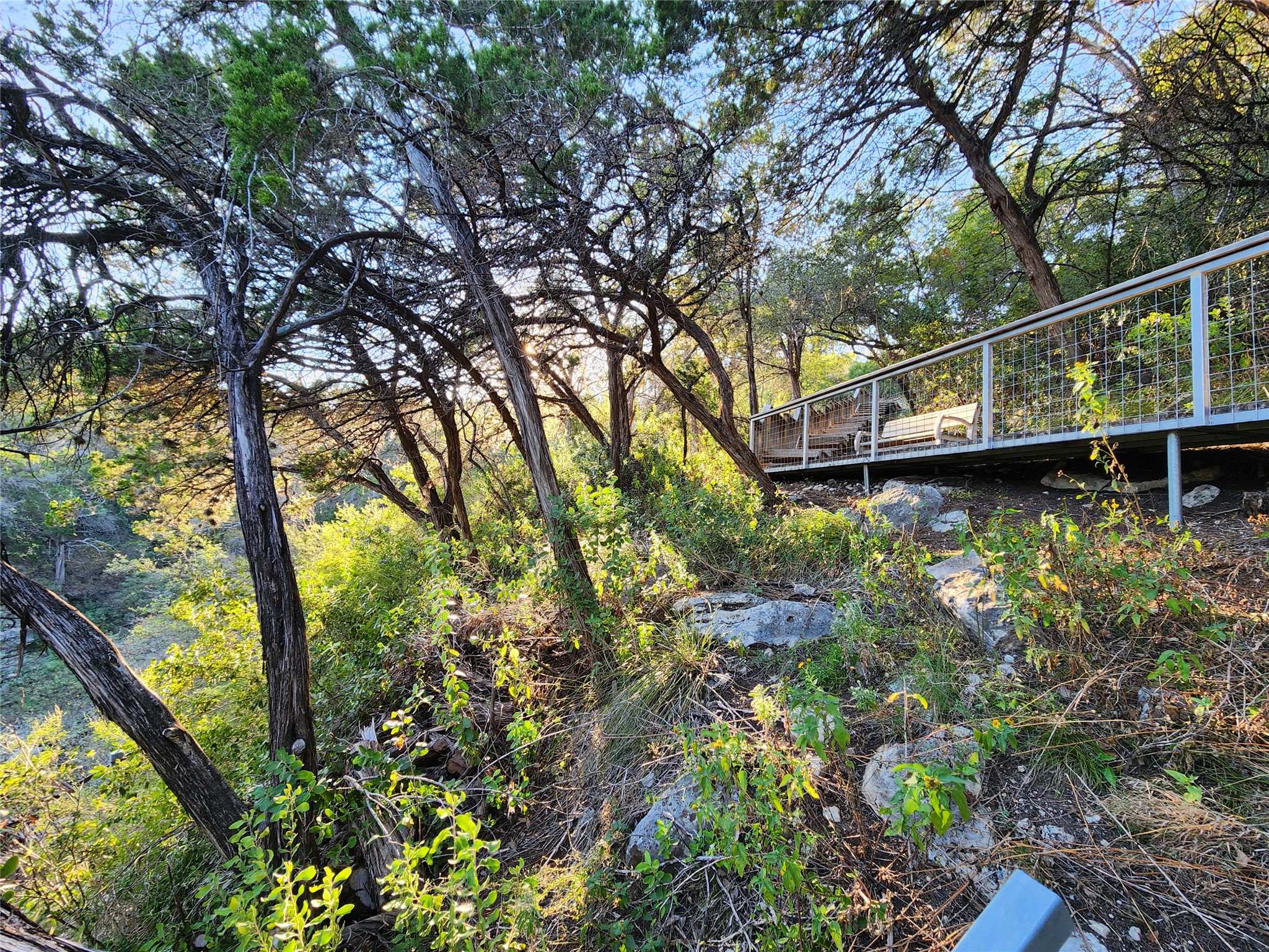 3807 Boat Dock Road Lago Vista, TX 78645 - Photo 35 of 37 A tranquil, elevated boardwalk winds through lush trees and natural rock formations.