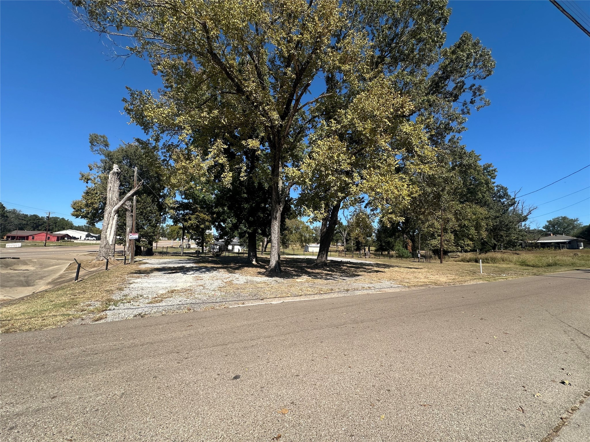 1042 West Commerce Street Buffalo, TX 75831 - Photo 15 of 16 a view of road with trees