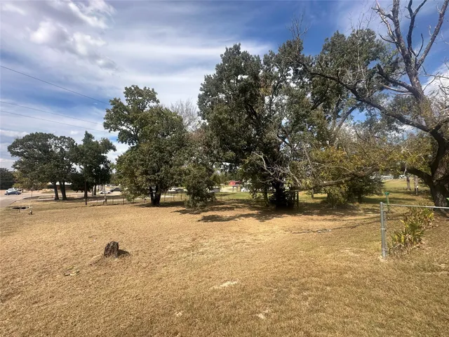 a view of a yard with a tree