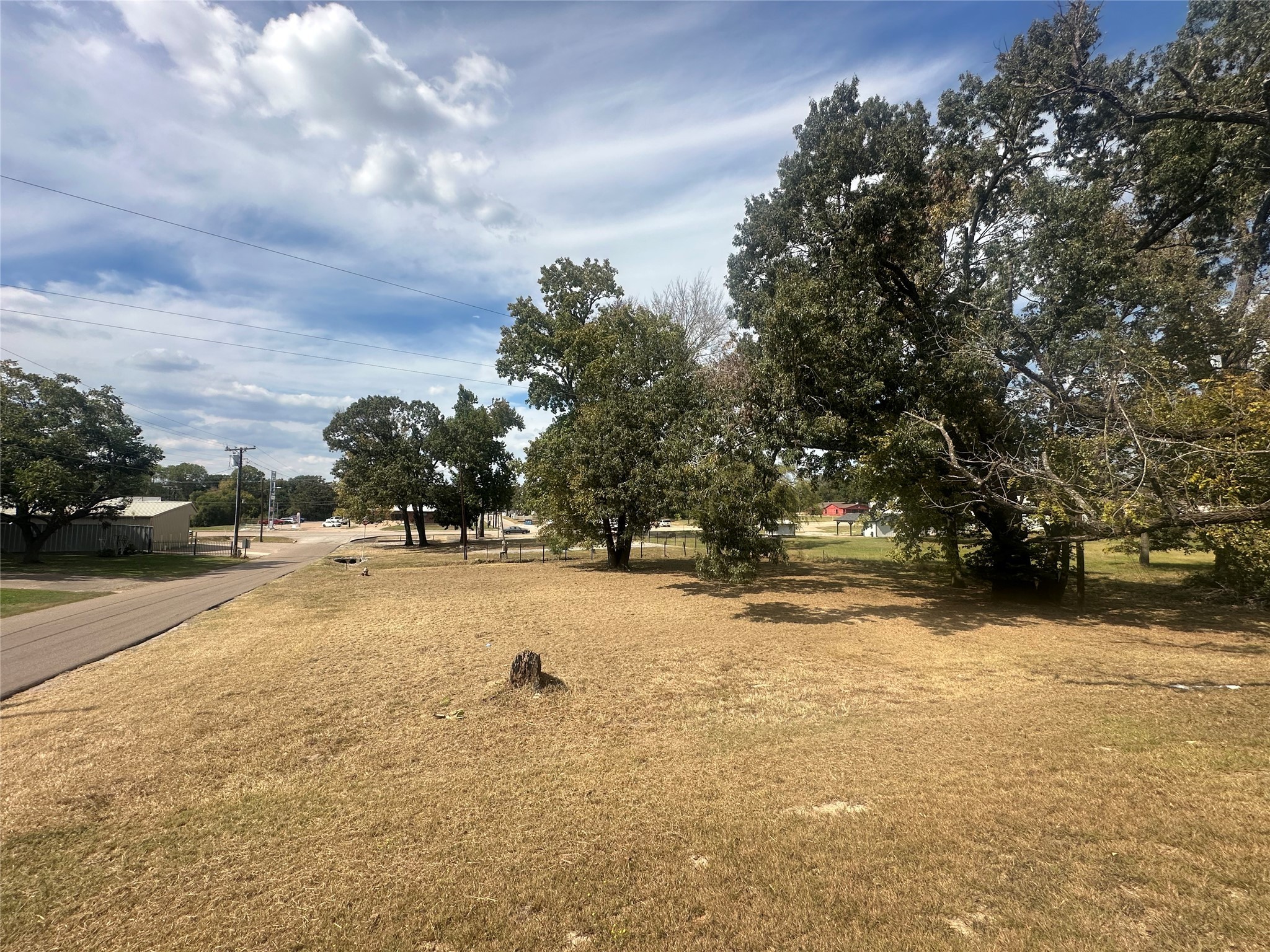 1042 West Commerce Street Buffalo, TX 75831 - Photo 5 of 16 a view of a yard with a tree