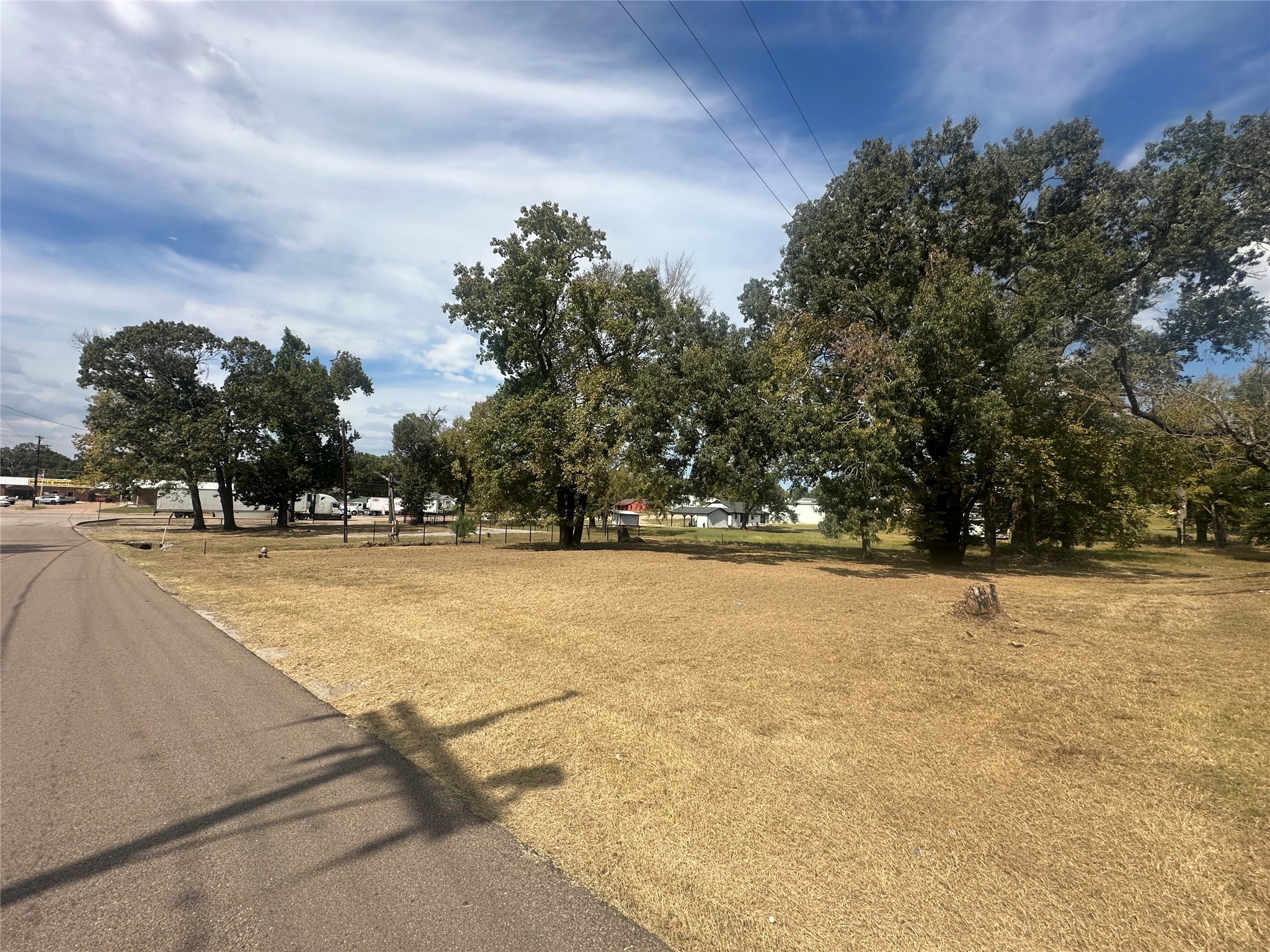 1042 West Commerce Street Buffalo, TX 75831 - Photo 6 of 16 a view of outdoor space with trees