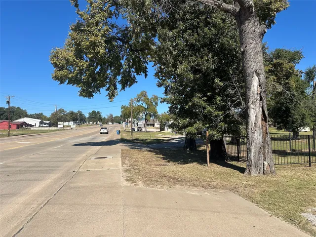 a view of a yard with plants and trees