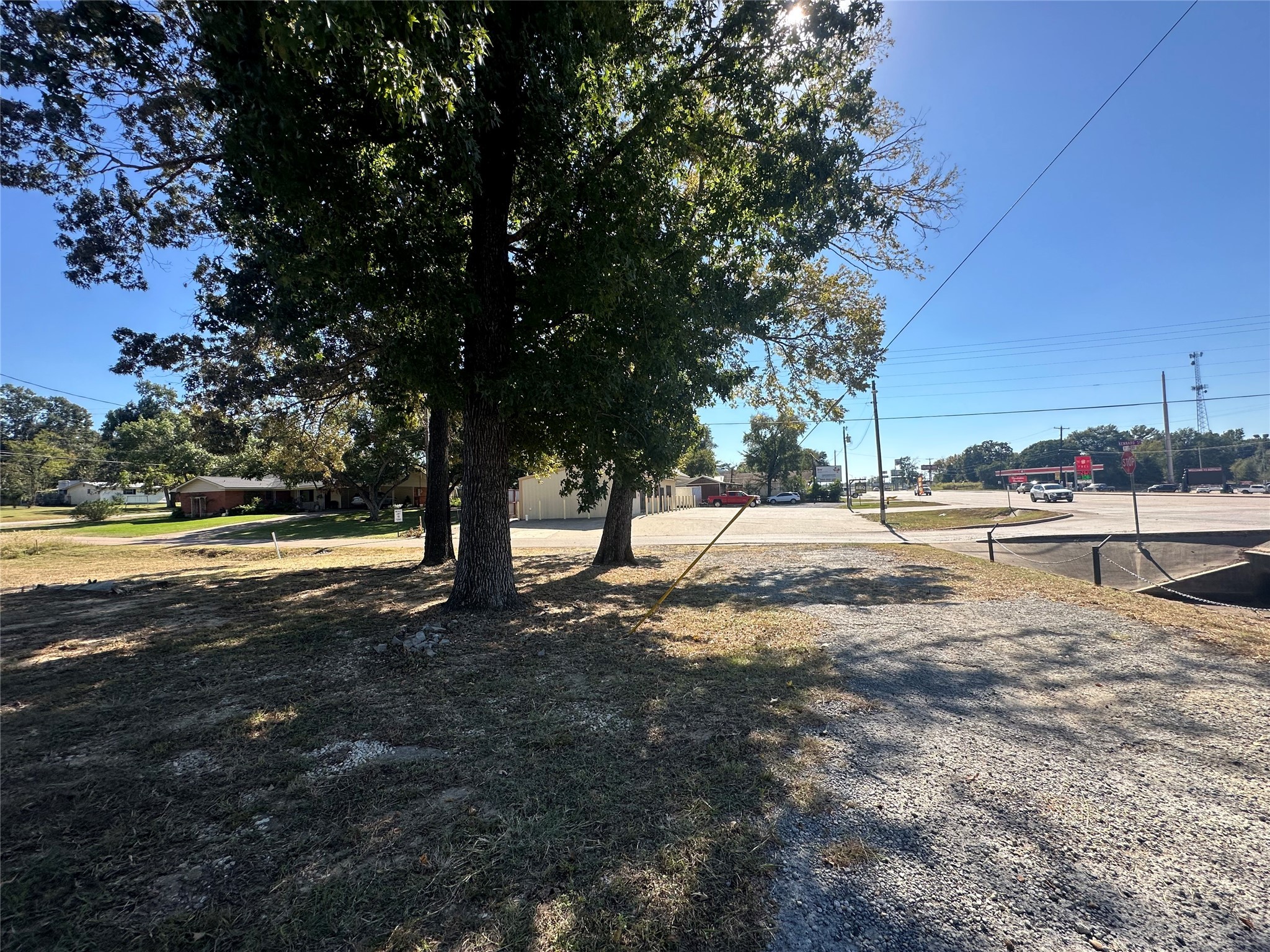 1042 West Commerce Street Buffalo, TX 75831 - Photo 10 of 16 a view of backyard with tree
