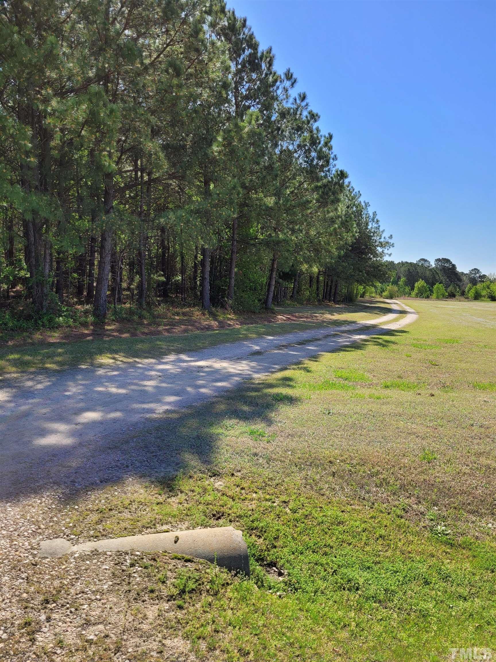 0 Water Plant Road East Zebulon, NC 27597 - Photo 4 of 8 a view of a yard with a house