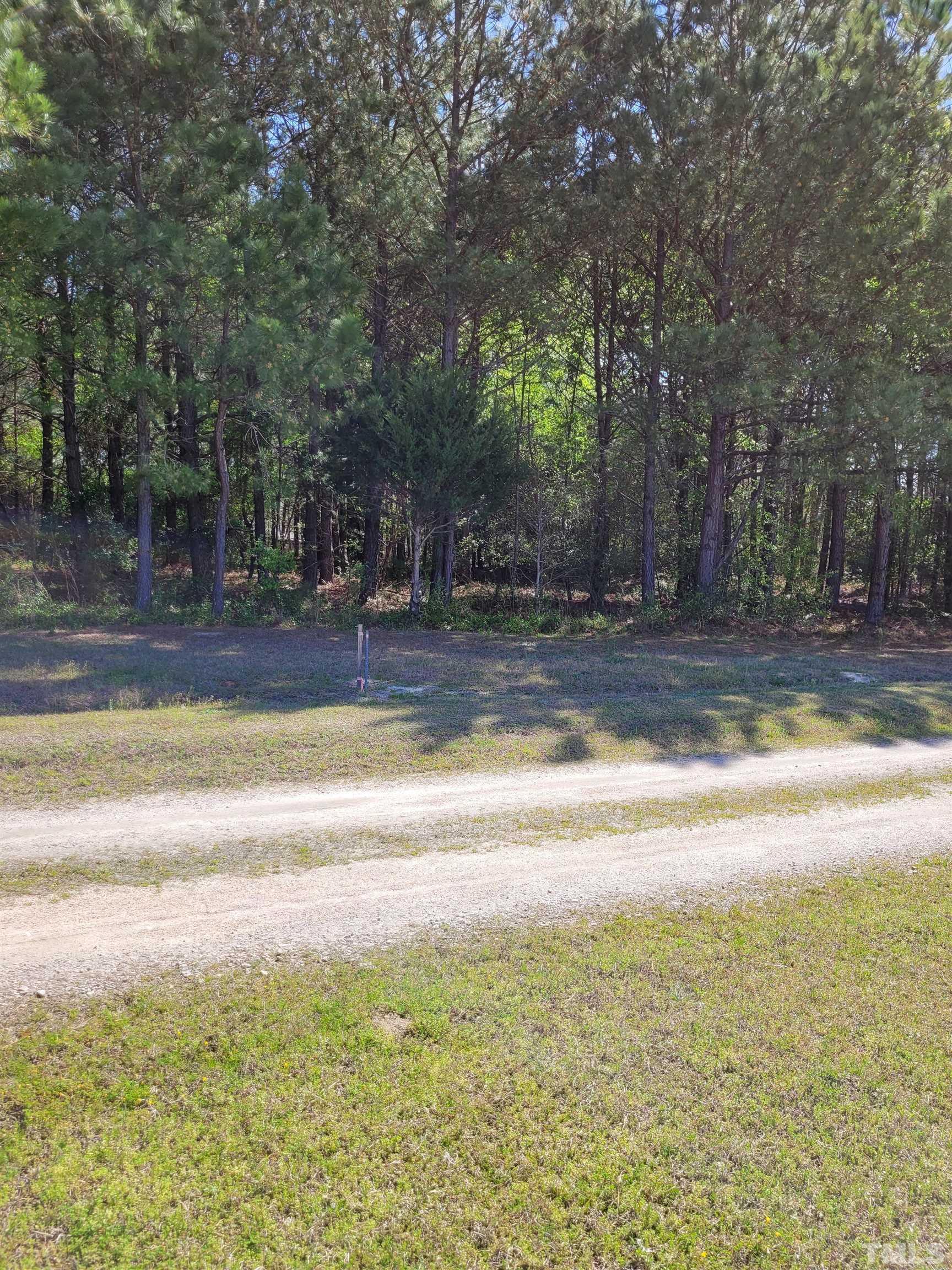 0 Water Plant Road East Zebulon, NC 27597 - Photo 5 of 8 a view of a yard with a trees