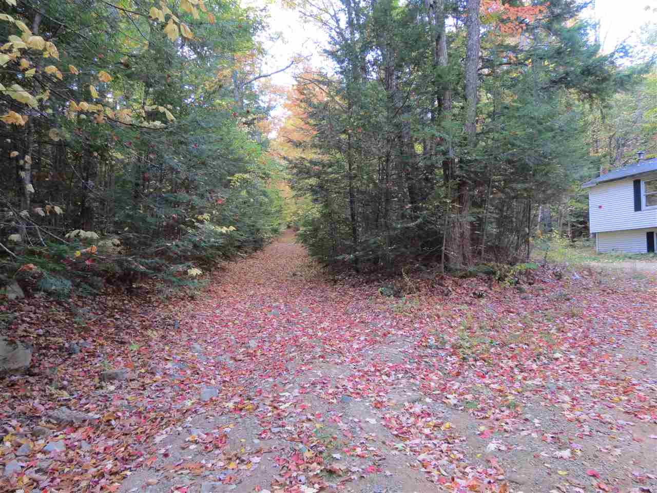 103 Roxbury Road Meredith, NH 03253 - Photo 3 of 6