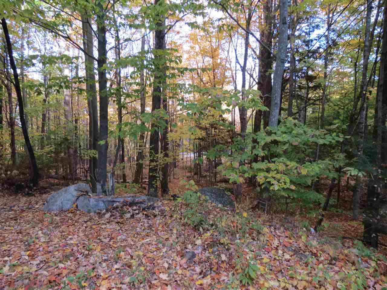 103 Roxbury Road Meredith, NH 03253 - Photo 5 of 6