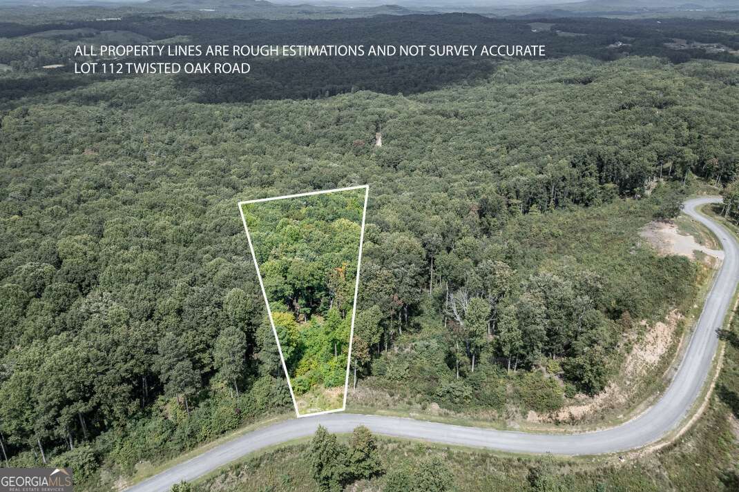 Lot 112 Twisted Oak Road Talking Rock, GA 30175 - Photo 1 of 45