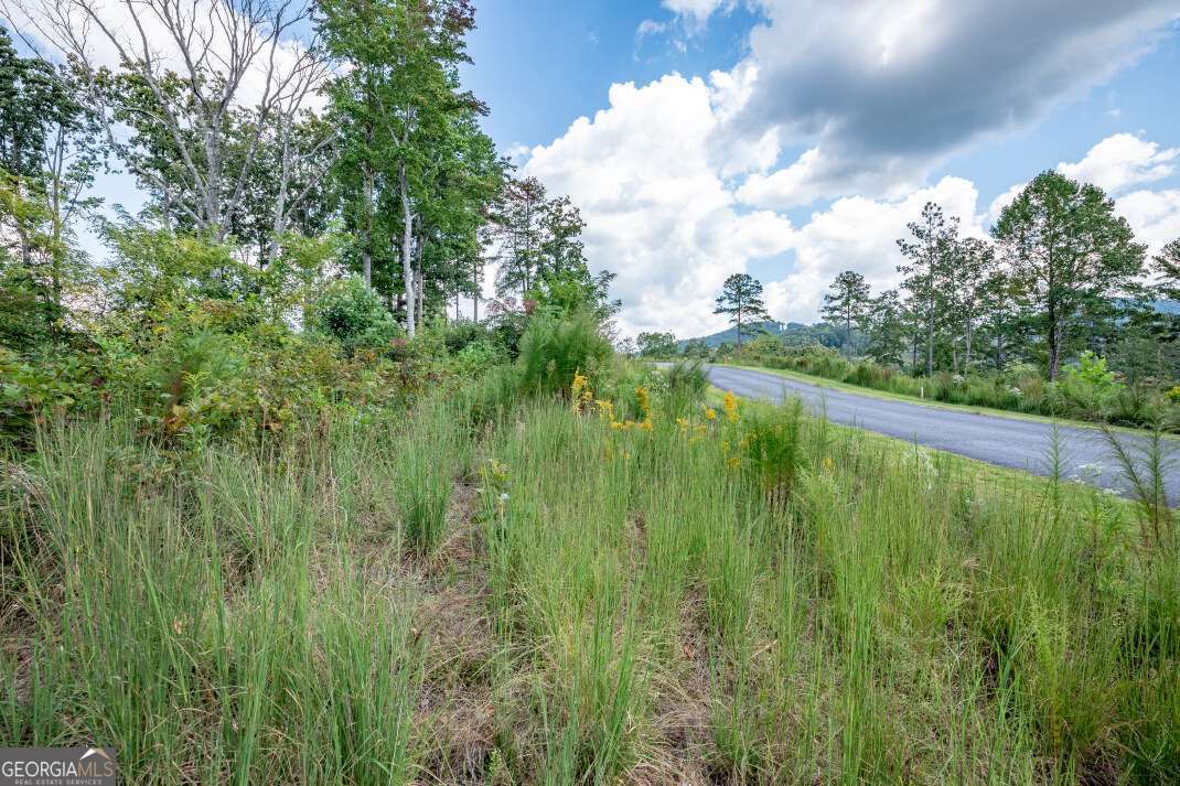Lot 112 Twisted Oak Road Talking Rock, GA 30175 - Photo 16 of 45 a view of a lush green space