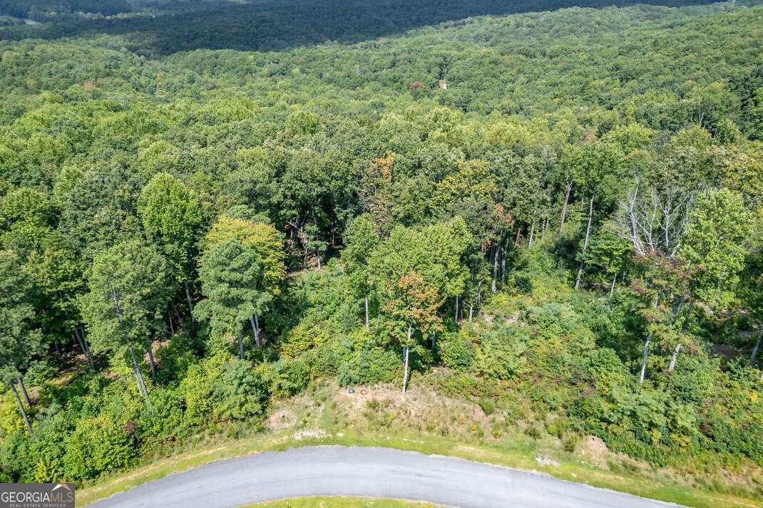 Lot 112 Twisted Oak Road Talking Rock, GA 30175 - Photo 18 of 45 a view of a garden