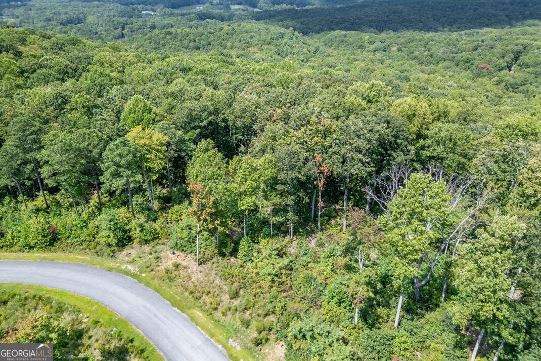 Lot 112 Twisted Oak Road Talking Rock, GA 30175 - Photo 19 of 45 a view of a garden with a plant