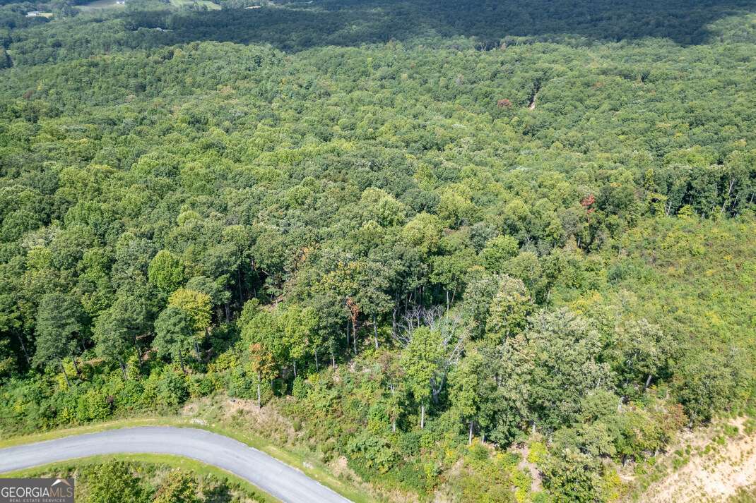 Lot 112 Twisted Oak Road Talking Rock, GA 30175 - Photo 20 of 45 a view of a yard with a plant