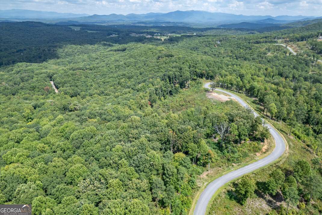 Lot 112 Twisted Oak Road Talking Rock, GA 30175 - Photo 21 of 45 a view of a lush green forest with trees and grass