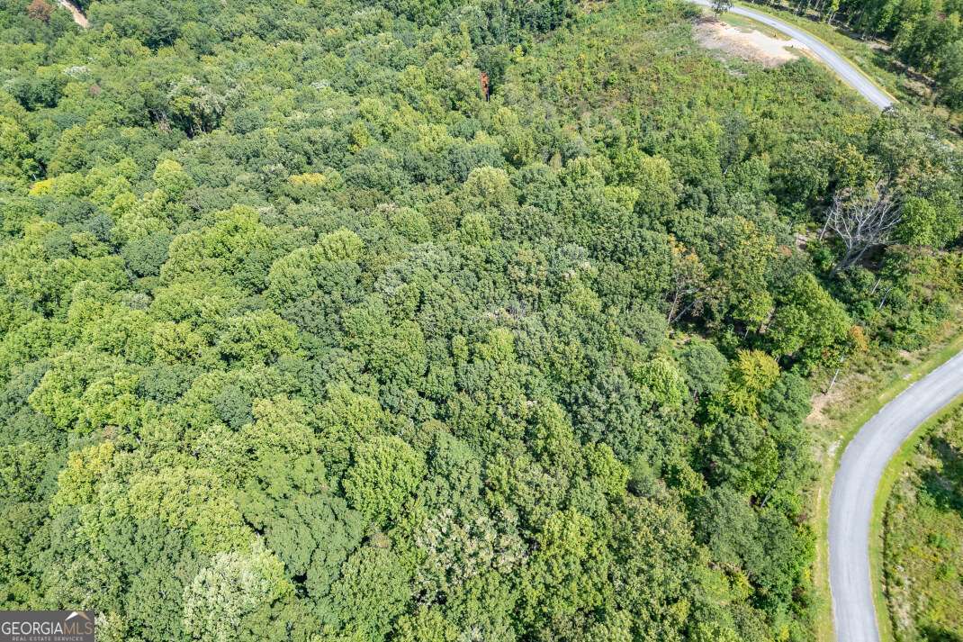 Lot 112 Twisted Oak Road Talking Rock, GA 30175 - Photo 22 of 45 a view of a lush green field