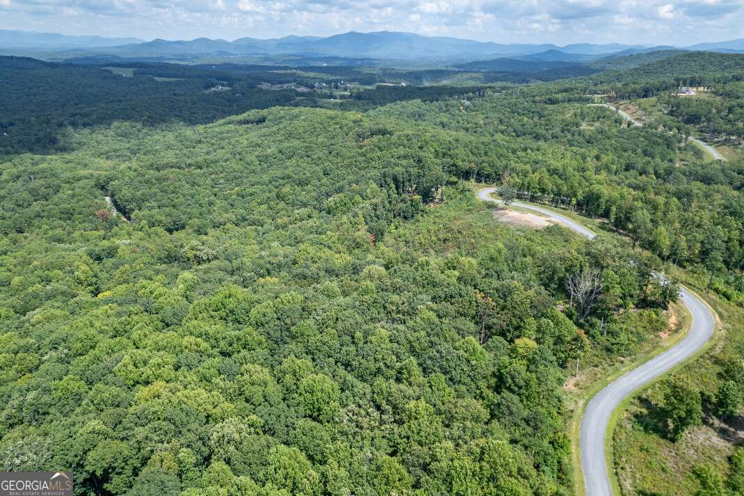 Lot 112 Twisted Oak Road Talking Rock, GA 30175 - Photo 23 of 45 a view of a lush green space