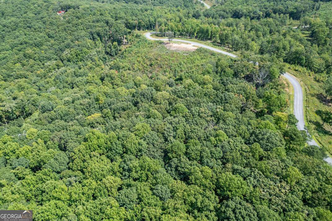 Lot 112 Twisted Oak Road Talking Rock, GA 30175 - Photo 24 of 45 a view of a lush green forest with lots of trees
