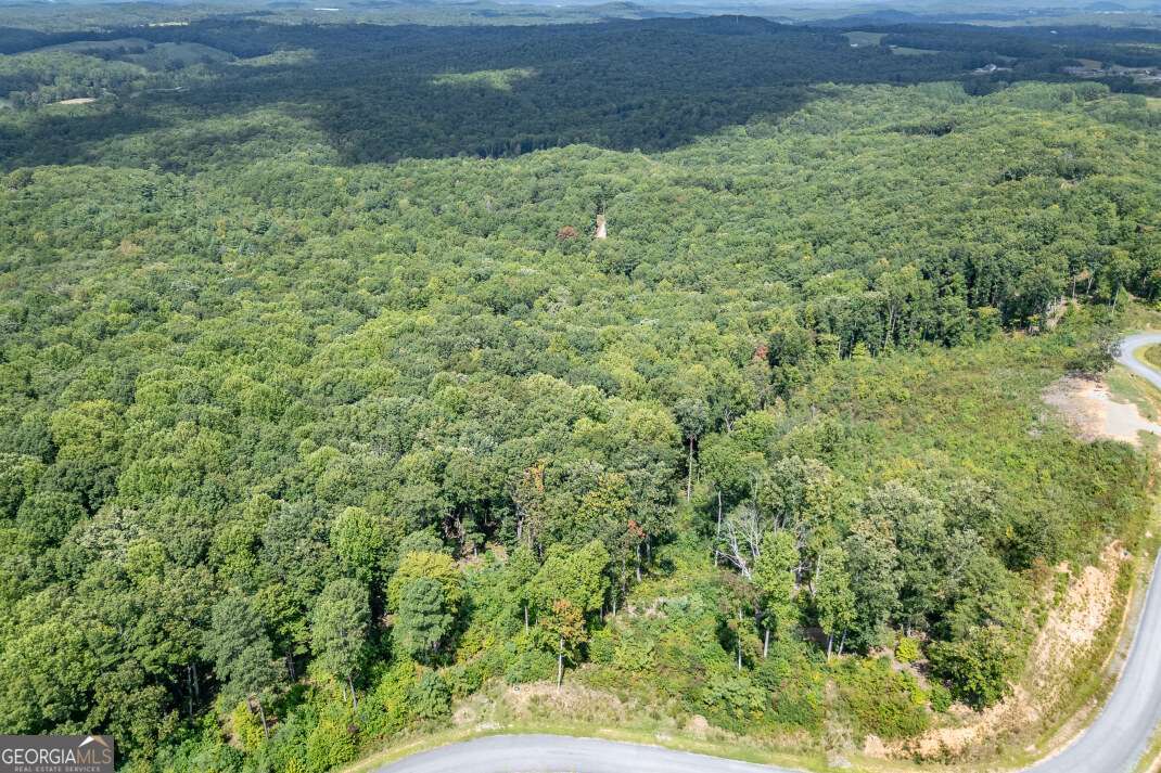Lot 112 Twisted Oak Road Talking Rock, GA 30175 - Photo 26 of 45 a view of a garden with a bench