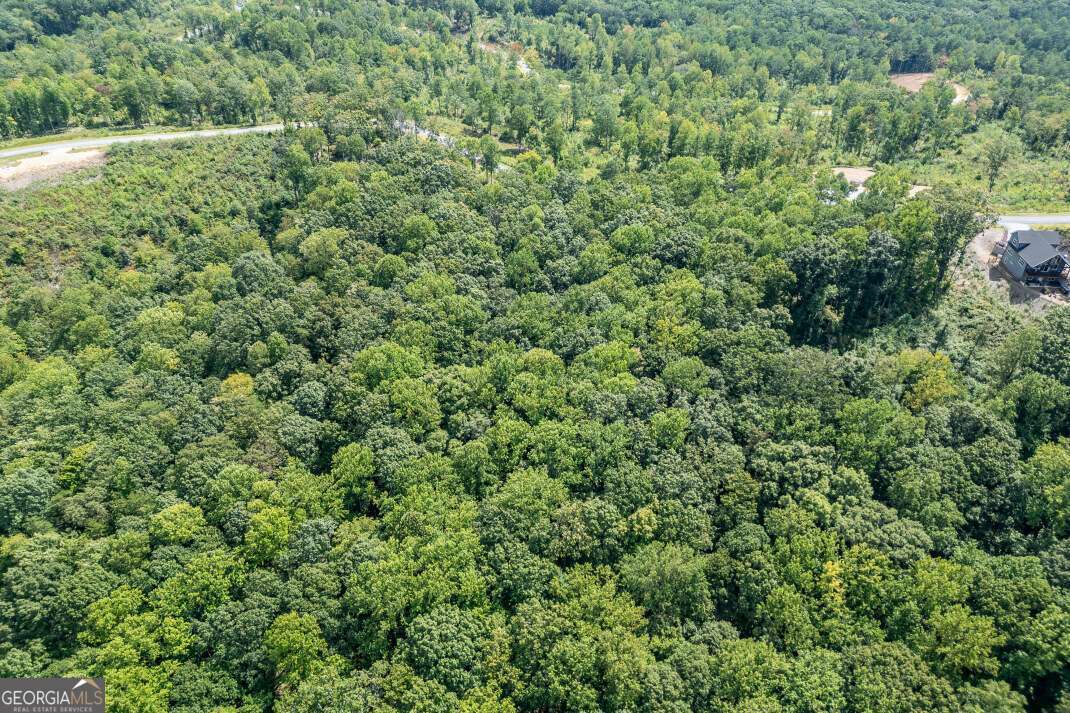 Lot 112 Twisted Oak Road Talking Rock, GA 30175 - Photo 27 of 45 a view of a field of grass and trees