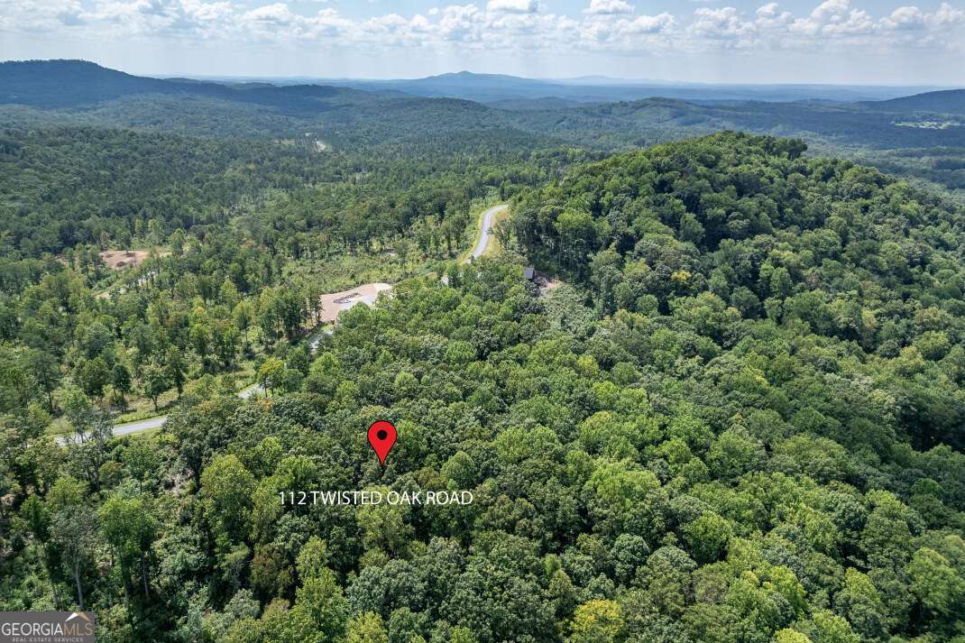 Lot 112 Twisted Oak Road Talking Rock, GA 30175 - Photo 29 of 45 a view of a lush green forest with a lush green forest